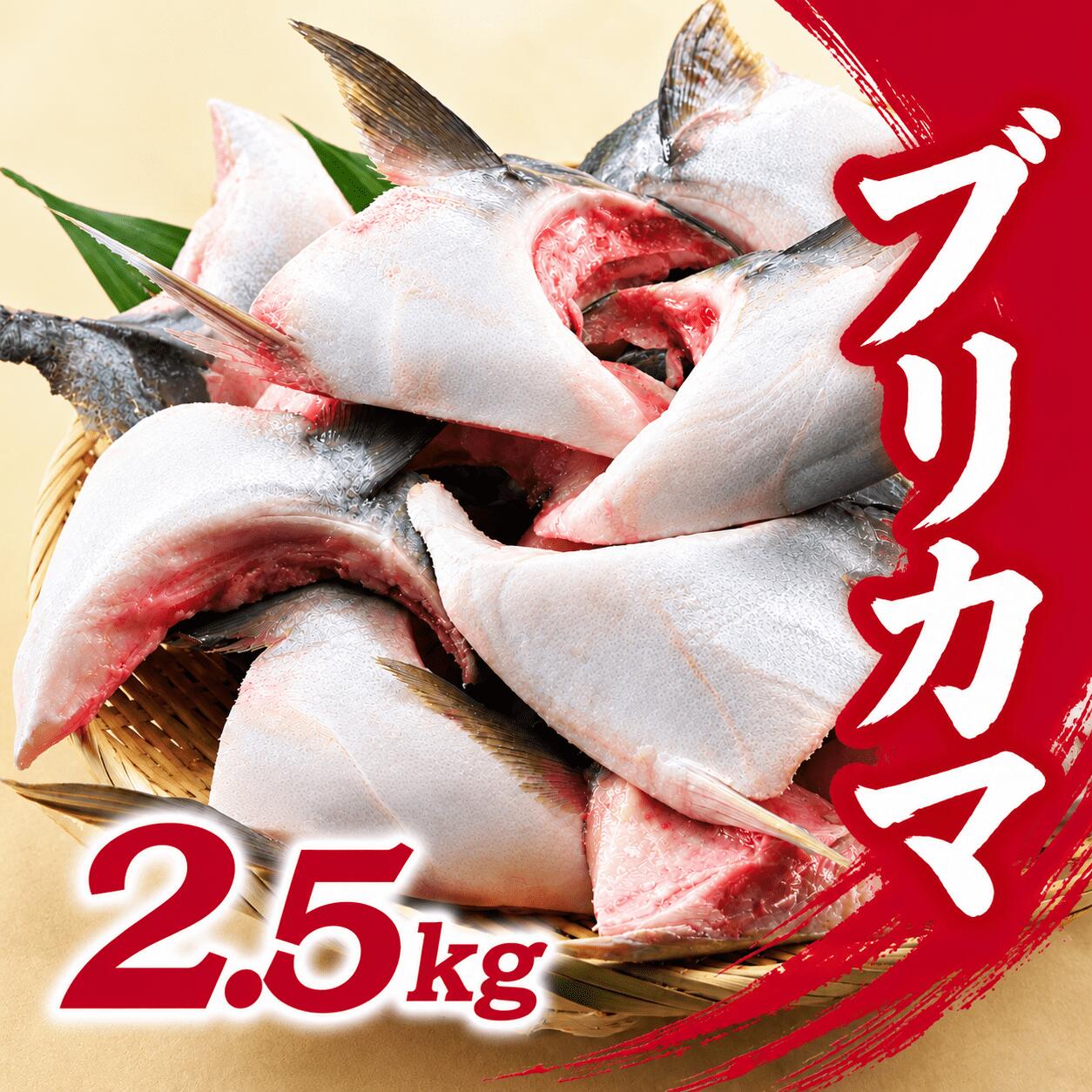 【ふるさと納税】 ブリカマ 2.5kg 10000円 冷凍 サイズ 不揃い ぶりかま ぶりカマ 鰤かま 少額 お手軽 魚介 父の日 小分け 真空 パック 新鮮 鮮魚 養殖 国産 鰤 ぶり ブリ おつまみ おかず カマ 塩焼き 煮物 あらだき あら煮 肉 厚 人気 ハマスイ 愛南町 愛媛県