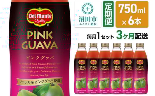 《定期便3ヶ月》デルモンテ ピンクグァバ 750ml 瓶 6本セット