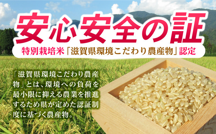 米 贈答 ギフト 特産品 産地直送 お送料無料 滋賀 29000円