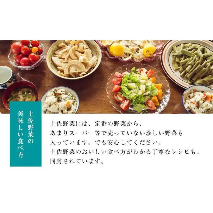 旬の土佐野菜セット 旬の詰め合わせ小セット 6回定期便 野菜