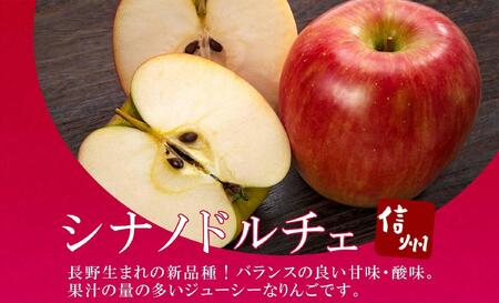 ＜26年発送 先行予約＞長野県産 りんご シナノドルチェ 訳あり 約3kg リンゴ 旬 フルーツ 訳アリ 林檎 果物 規格外 自家用 産地直送 農園 産直 お取り寄せ もぎたて 採れたて 送料無料 堀