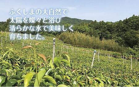 《先行予約》いわき市産梨　豊水3kg（約6～8個）
