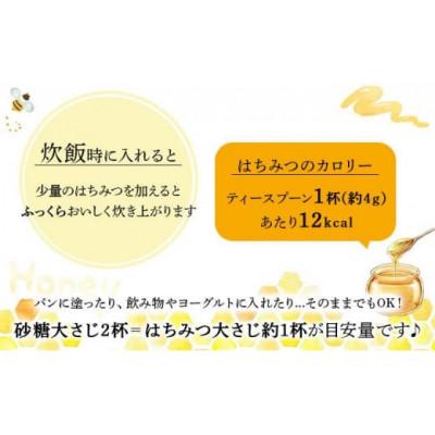 ふるさと納税 鏡野町 山田養蜂場 里山の百花蜂蜜300g(プラ容器入)×1本 (3643) |  | 02