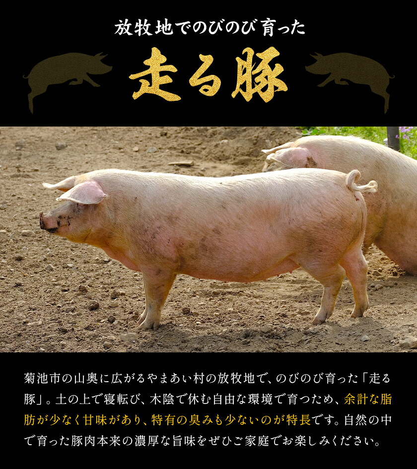 菊池やまあいの豚小間スライス 800g 《90日以内に出荷予定》(土日祝除く)》1パック200g 豚肉 豚小間 スライス済み 小分け 熊本県産 九州産 国産 冷凍 送料無料