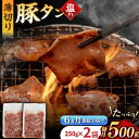 【ふるさと納税】【6回定期便】【塩だれ】九州産 豚タン 毎月250g×2袋 （計3kg） 長与町/岩永ホルモン [EAX164] 国産 こくさん豚タン ぶたたん スライス すらいす 豚たん 小分け 味付き 焼肉 やきにく 冷凍 定期便 ていきびん