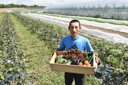 7・8月　計2回定期便　北海道産旬の無農薬栽培　野菜の詰め合わせ6～8種類 【 サニーレタス 水菜 チンゲンサイ さやえんどう スナップエンドウ さやいんげん ささぎ豆 春大根 ズッキーニ なす トマ