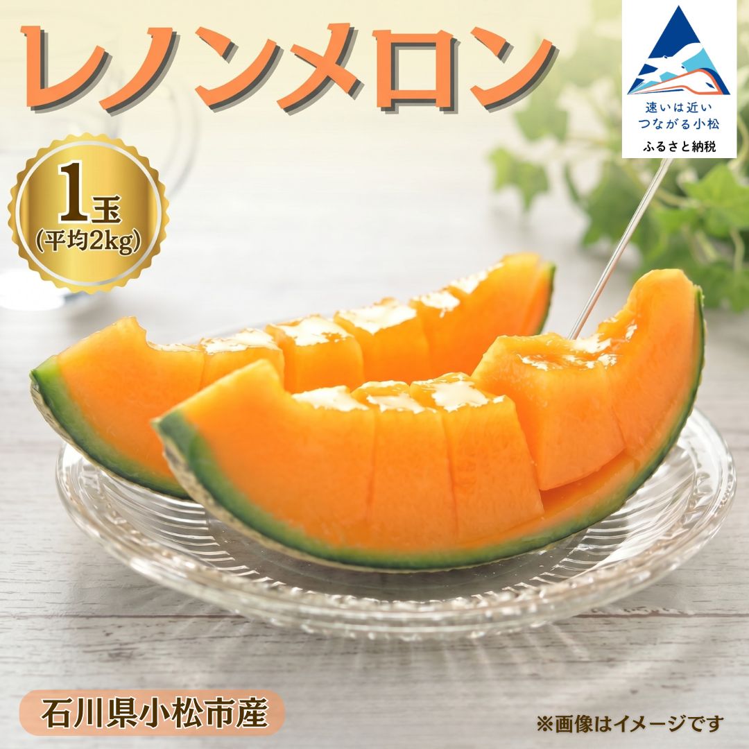 【ふるさと納税】 レノンメロン 1玉（平均2kg） メロン 果物 フルーツ ギフト 贈答用 名産 特産品 石川県 小松市 ar003n00 【JAあぐり】