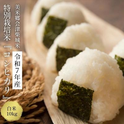 ふるさと納税 喜多方市 令和7年産　美米郷会津柴城米　特別栽培米コシヒカリ　白米　10kg