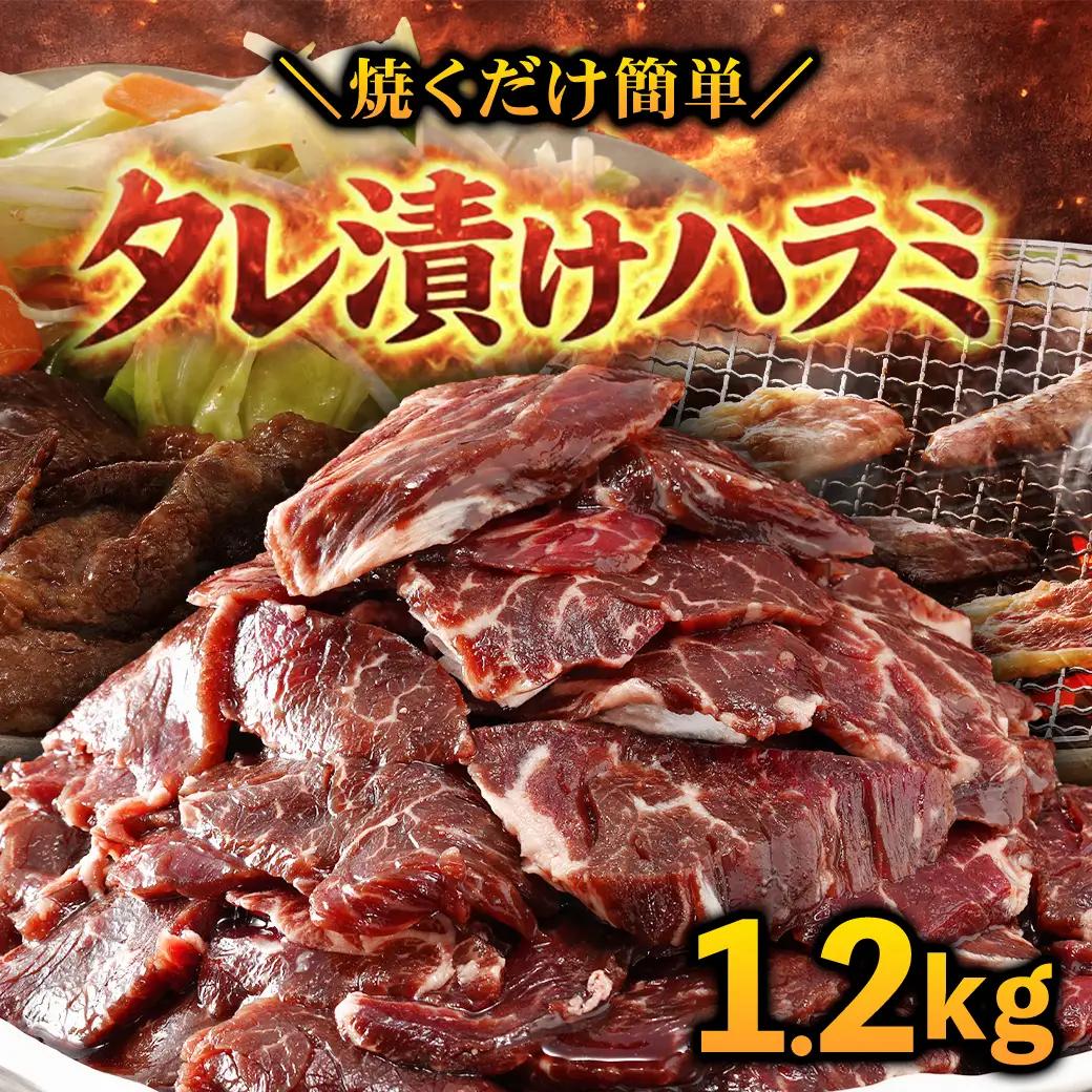 【ふるなびWEEK対象】タレ漬け ハラミ 1.2kg 焼肉用 BBQ 簡単調理 fc-EO023-C タルソン