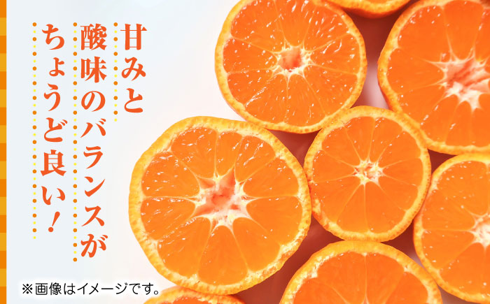 【先行予約】温州みかん約7kg　2S～2Lサイズ　【くまふる】 [ZBG050]