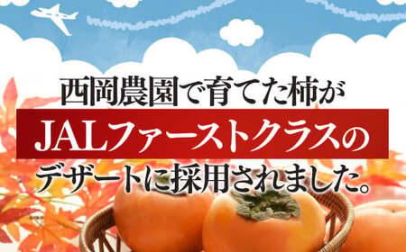 大人気！ リピーター多数！ たねなし 柿 約7kg箱 （24～30個入）| 西岡農園