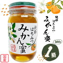 【ふるさと納税】みかん蜂蜜 蜂蜜 300g 1本 野田養蜂園《60日以内に出荷予定(土日祝除く)》和歌山県 日高川町 蜂蜜 みかん ハニー はちみつ 蜜 ハチミツ