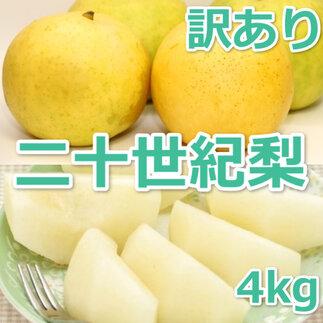 953.【訳あり】二十世紀梨 4kg【梨・なし】≪梨 なし ナシ 果物 フルーツ くだもの 鳥取県北栄町≫※8月下旬頃～9月下旬頃に順次発送 313726_AN003