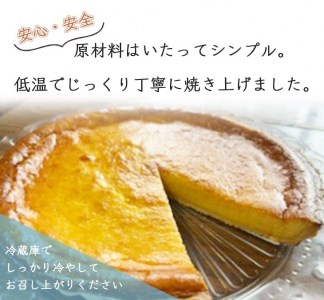 ベイクドチーズのタルト【直径21cm・7号】Bistro仙人掌  訳あり タルト