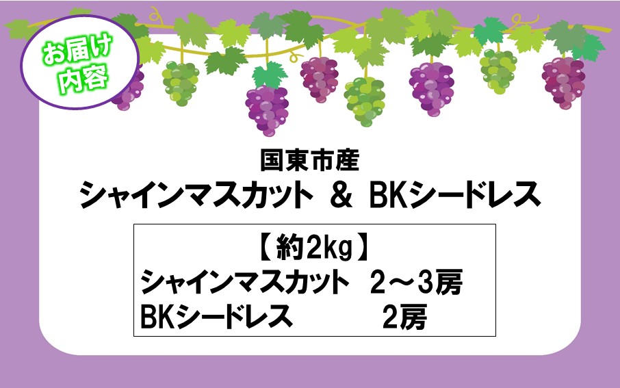 テレビで紹介されました！【先行予約】【令和8年発送】農家直送！ 新鮮！ 朝づみぶどう シャインマスカット & BKシードレス 種なし 約2kg フルーツ 果物 贈答 大分県産 採れたて_2658R-3