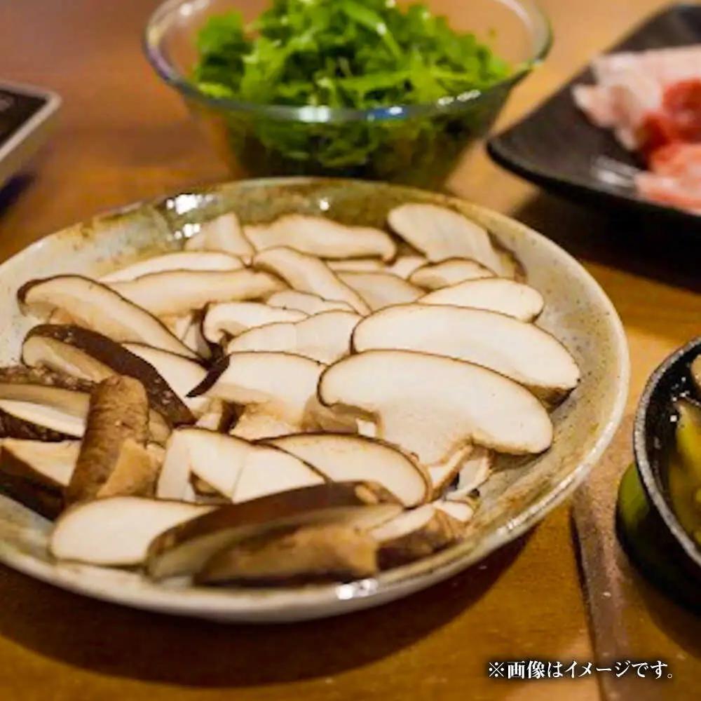 【訳あり】原木 生しいたけ 約1kg しいたけ [BNAU005]