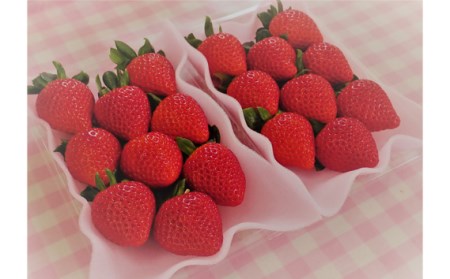 いちごハウスAYAのあまりん　250g×2パック No.376