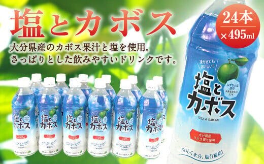 
										
										大分県 かぼす飲料 ｢塩とカボス｣ 495ml 24本
									