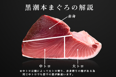 【高知県大月町産 本マグロ】 ブツ切り 600g