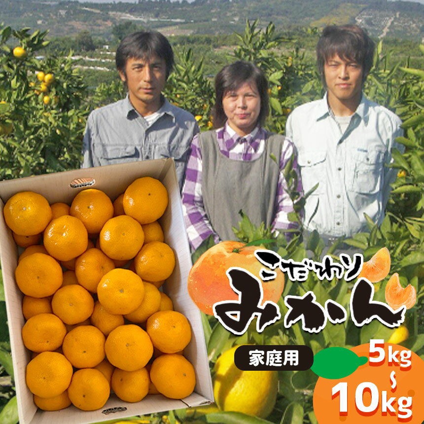 【ふるさと納税】みかん 温州みかん こだわりみかん 家庭用 選べる 5kg 10kg | 果物 フルーツ みかん ミカン 温州みかん 柑橘 柑橘類 熊本県 玉名市 送料無料