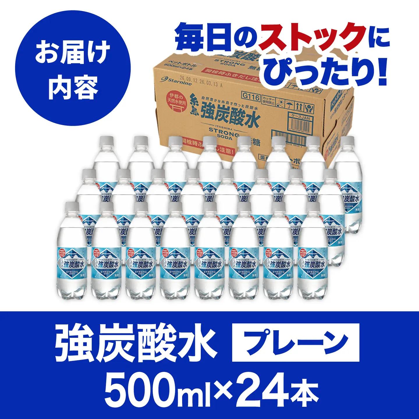 強炭酸水 プレーン 500ml 24本 強炭酸 [ARM002]