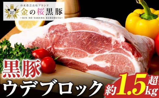 ＼塊肉／金の桜黒豚 ウデ肉 ブロック 約1.5kg超え  鹿児島県産 黒豚 豚肉 ブロック肉  塊肉 とんかつ【A-2000H】