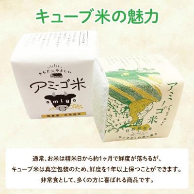 ふるさと納税 大子町 【新米先行予約】アミーゴ米(コシヒカリ)真空キューブ 2合(300g)×12個 計3.6kg|大子町 |  | 03