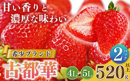 いちご 平群の古都華 4L ～ 5L サイズ 2パック 扇田農園 | 果物 くだもの フルーツ 苺 イチゴ いちご ストロベリー 古都華 ことか 旬の品種 フードロス 産地直送 奈良県 平群町