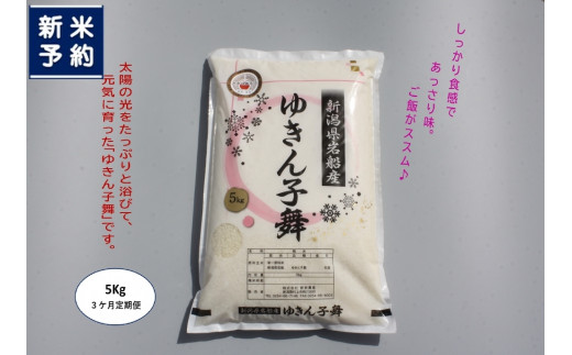 【新米受付・令和7年産米】【3ヶ月定期便】新潟県村上市産　ゆきん子舞 白米 5kg×3ヶ月  1039034N