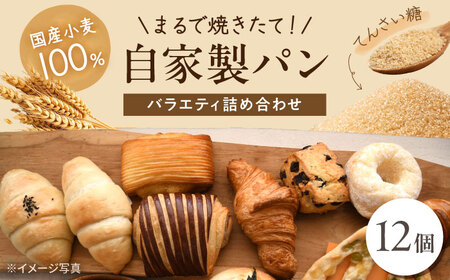 人気のパン 12個 バラエティ詰め合わせ 《豊前市》【ぱんのこ】 ぱん パン 取り寄せ 人気[VDU003]