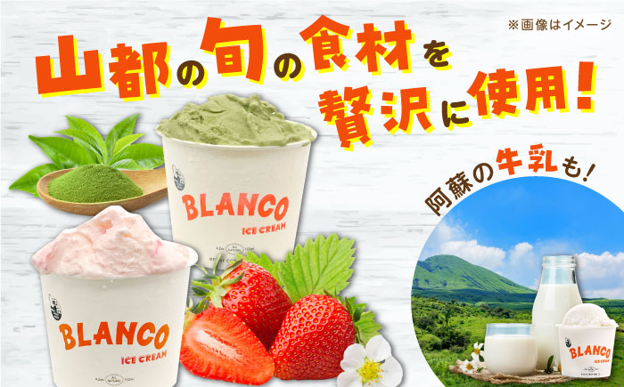 【全12回定期便】ハンドメイドアイスクリーム 6種 食べ比べ  8個セット 詰め合わせ アイスクリーム 熊本 山都町 アイス【BLANCO ICE CREAM】[YCM008] 