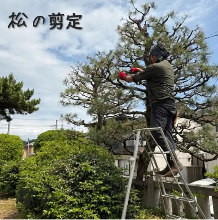 お庭のお手入れサービス（剪定・伐採・除草）50,000円分【蒲郡市内対象】_【G0783】