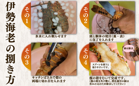活〆 冷凍 伊勢海老 2匹（1匹 約300～600g） 計 約1kg 伊勢海老 伊勢海老 伊勢海老 伊勢海老 伊勢海老 治吉水産