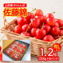 【ふるさと納税】山形産 さくらんぼ 佐藤錦 L以上 1.2kg(200g×6パック入) 【令和7年産先行予約】FU21-829 くだもの 果物 フルーツ 山形 山形県 山形市 2025年産