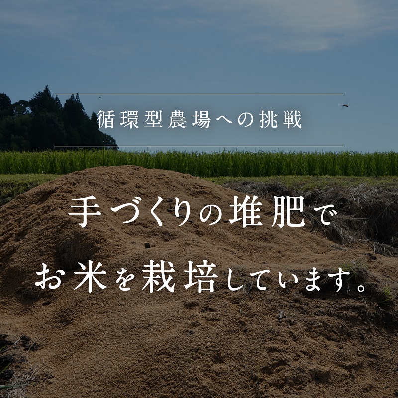 【新米・予約】令和6年産 矢原一心ファーム 特別栽培米 コシヒカリ 5kg 米 お米 おこめ 鳥取県日南町 こしひかり 特別栽培