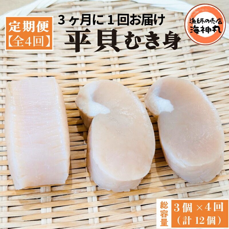 【ふるさと納税】 【3ヶ月毎定期便】 平貝 (タイラギ) 全4回 3個×4回 12個 冷凍 平貝 タイラギ 貝 魚貝類 魚貝 タイラガイ 魚介 貝類 冷凍 BBQ 平貝 タイラギ 貝 魚貝類 魚貝 タイラガイ 魚介 魚貝 タイラガイ 魚介 貝類 冷凍 バター炒め 人気 おすすめ 愛知県 南知多町