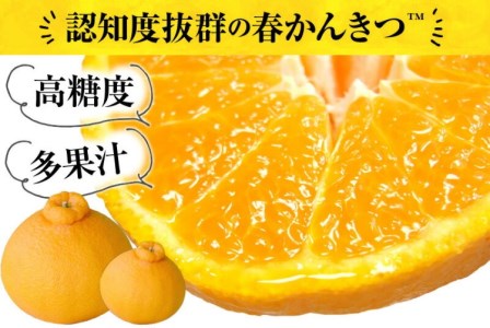 田村産「デコ」不知火[約3kg]湯浅町田村産春みかん(果実サイズおまかせ)/紀伊国屋文左衛門本舗　※2026年2月中旬～3月下旬頃に順次発送予定(お届け日指定不可)【kztb493A】