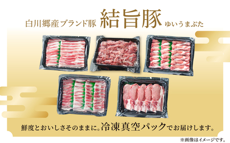 《定期便》全5回 結旨豚（焼肉・しゃぶしゃぶ・切り落とし）1kg×5か月 冷凍真空パック | 肉 お肉 豚肉 国産 食べ比べ セット 白川郷 岐阜県 白川村 ブランド豚 人気 おすすめ ギフト 飛騨高