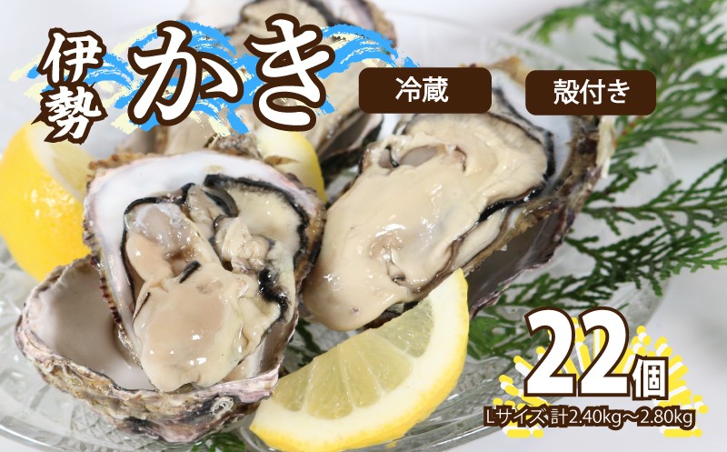 
            殻付き 牡蠣 伊勢かき  Lサイズ22個 計2.4kg～2.8kg 加熱用 濃厚 新鮮 養殖 牡蠣 カキ kaki 鍋 牡蠣鍋 カキフライ 牡蠣フライ BBQ キャンプ おいしい 伊勢志摩 三重 南伊勢町 シェルファームみつなが
          