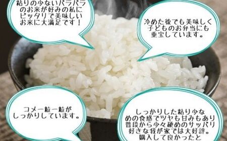 【12ヶ月定期便】『新潟産こしいぶき』5kg×12回お届け(計60kg) プロが認めたうまい米 令和5年産 新潟産コシイブキ 新潟県糸魚川産 農家直送 おいしいお米をお届けします。