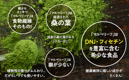 【 期間限定 生活応援 】マルベリーフパウダー KN098-008-cp 桑の葉パウダー 桑の葉 加工品 加工食品 健康 健康効果 Bauntfulet ふるさと納税 鹿児島 鹿屋市 おすすめ ランキ