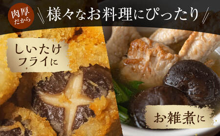 【小粒たっぷり】乾燥しいたけ 干し椎茸 合同会社knot J-126
