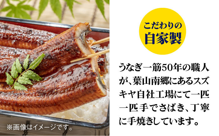 うなぎ ウナギ 鰻  蒲焼き