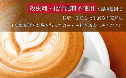 【定期便2ヶ月】【インドネシア・ブラジル・グアテマラ・エチオピア産豆使用のスペシャルティコーヒー】猫と海コーヒー（浅煎りブレンド）（粉）200グラム×5袋 1セット コーヒー豆 珈琲豆  コーヒー 珈