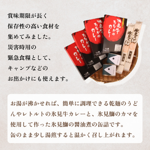 氷見の保存食セット うどん・カレー・鰤缶詰 富山県 氷見市 防災 カレー レトルト 缶詰 セット