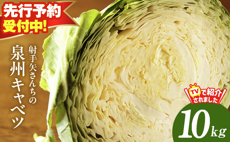 G1303 【先行予約】射手矢さんちの泉州キャベツ 10kg【家計応援 新鮮 野菜 やさい 射手矢農園 高評価 きゃべつ 訳あり サイズ不揃い 数量限定 TVで紹介！】