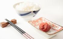 ［梅干・梅酒用］（2LまたはL−2Kg）熟南高梅＜2026年6月上旬〜7月7日発送予定＞フルーツ 果物 くだもの 食品 人気 おすすめ 送料無料［ART04］