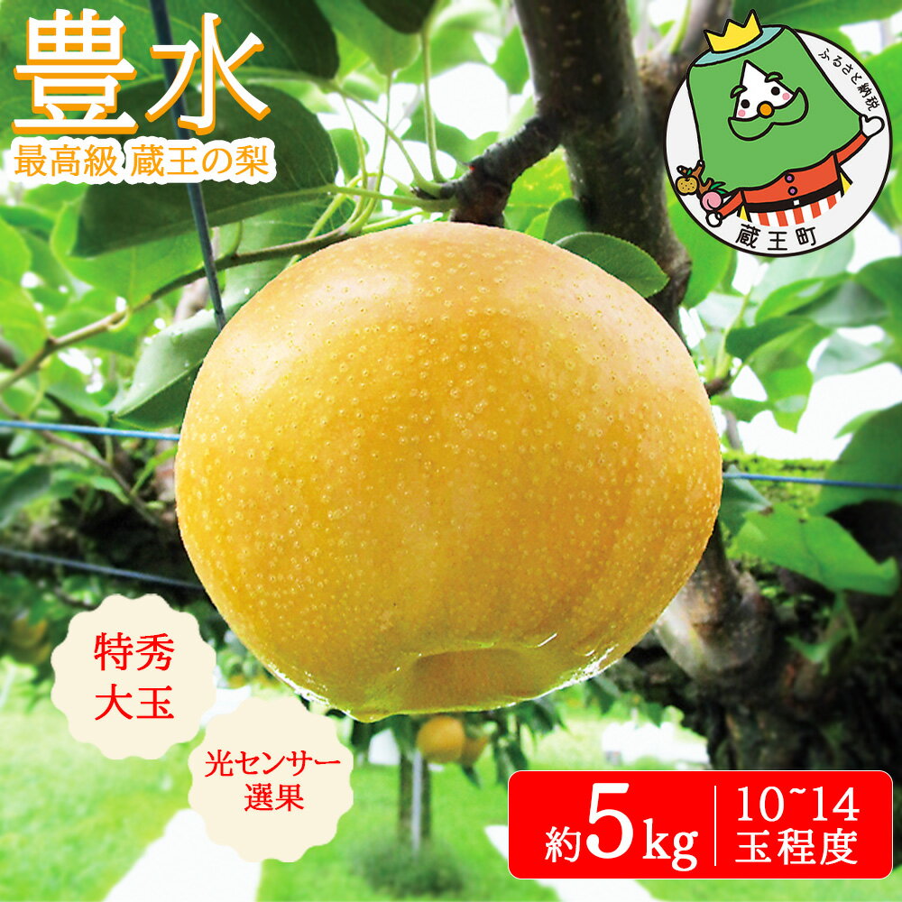 【ふるさと納税】【先行予約】蔵王の梨 豊水 約5kg　特秀・大玉　【04301-0716】梨 なし 果物 くだもの スイーツ フルーツ デザート 甘い ジューシー 蔵王