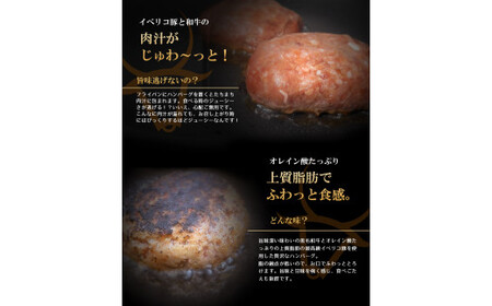 デリシオソ ハンバーグ 150g×5個 小分け 個包装 イベリコ豚 黒毛和牛 牛肉 豚肉 和牛 肉 牛 豚 簡単調理 冷凍 お弁当 おかず 惣菜 お惣菜 京都 八幡 神戸屋商事 肉匠 こしき庵