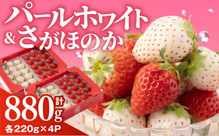 【先行予約】「さがほのか」と「パールホワイト」220g×各2パック 計4パック / いちご [IAQ017]